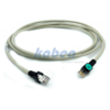 EWL0072-Kabel für Diagnose Adapter E94AZCUS 10m