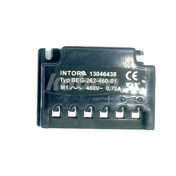 BEG-262-460 (2)